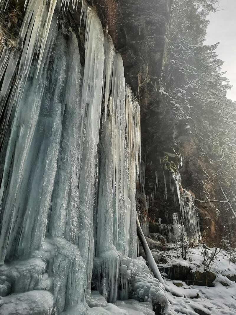 Котедж Кресаня Mykulychyn Exterior foto